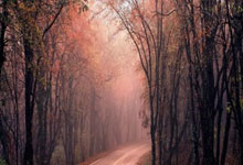 赖斯:加盟阿森纳之前我没有绰号;津琴科最先叫我“马”.