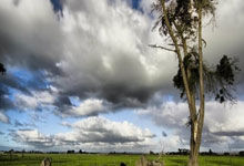 NG28:阿森纳近10次英超客战西汉姆5胜4平1负.