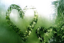 悬念扑面而来！CBA季后赛从来没有这么“谜”.